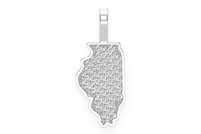 Illinois State Pendant 14k   