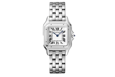 2024 Cartier - Panthère De Cartier - Wspn0007 - Stainless Steel (rb702)