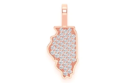 Illinois State Pendant 14k   