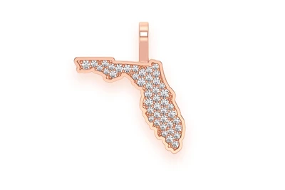 Florida State Pendant 14k   