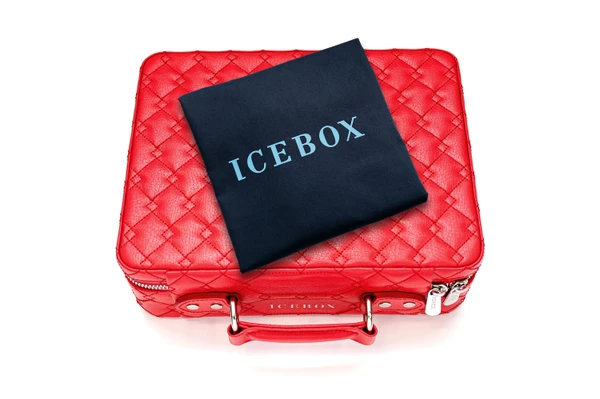 Icebox Voyage Case