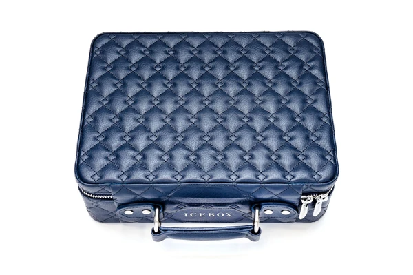 Icebox Voyage Case