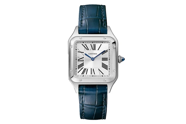 2024 Cartier - Santos-Dumont - Wssa0023 - Stainless Steel (rb640)