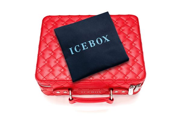 Icebox Voyage Case