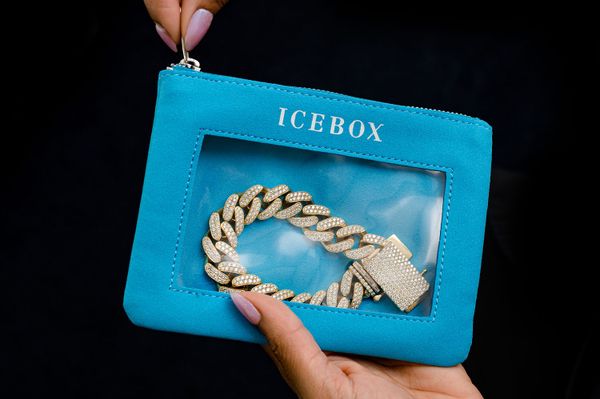 Icebox 3 Large Zipper Travel Window Pouches