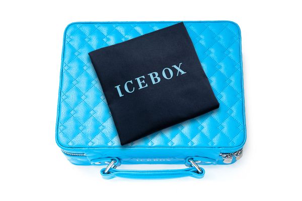 Icebox Voyage Case