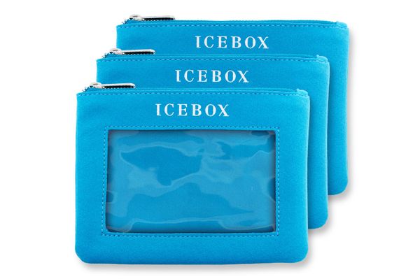 Icebox 3 Large Zipper Travel Window Pouches