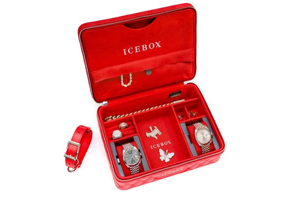 Icebox Voyage Case