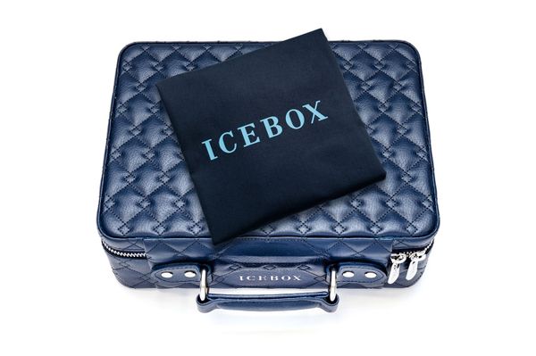 Icebox Voyage Case